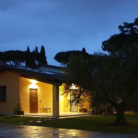L'Antico Vigneto Hotel Marino Ngoại thất bức ảnh