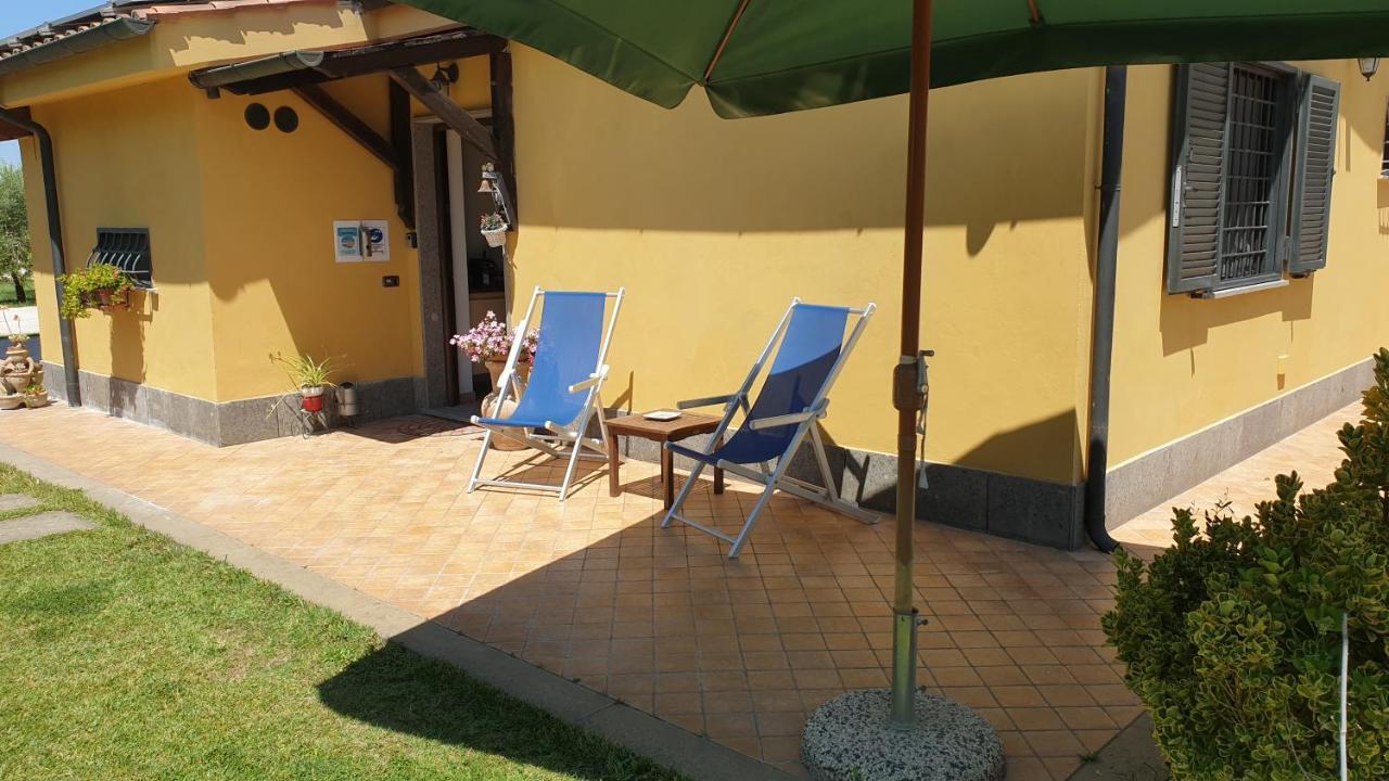 L'Antico Vigneto Hotel Marino Ngoại thất bức ảnh