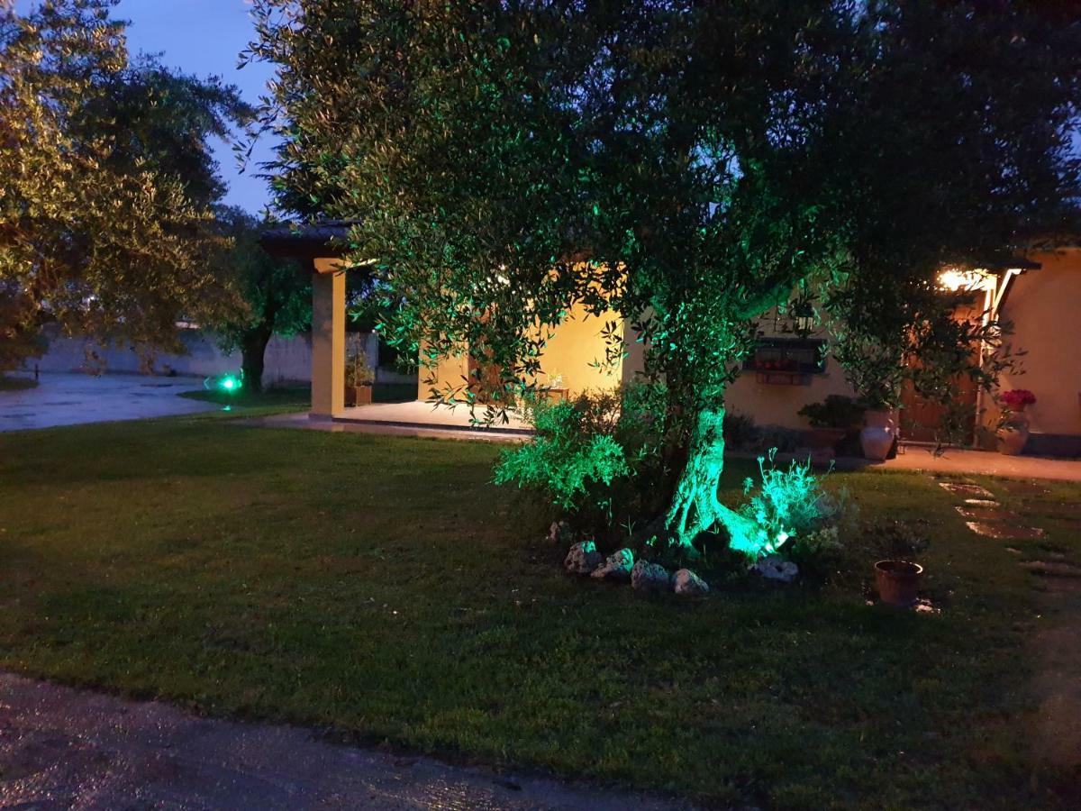 L'Antico Vigneto Hotel Marino Ngoại thất bức ảnh